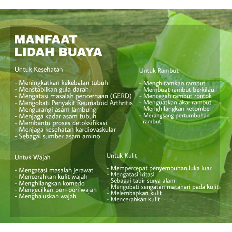 Lidah buaya murni asli dan alami minuman nutrisi manis untuk obat asam lambung dan daya tahan tubuh-2