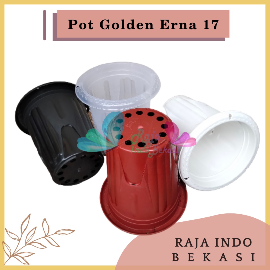 Pot Golden Erna 17 Putih Hitam Coklat Merah Bata Terakota - Pot Yogap 15 17 Murah