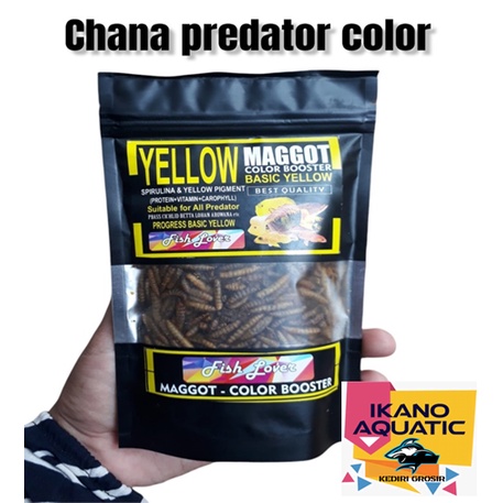 Pakan Ikan Maggot Bana Spirulina