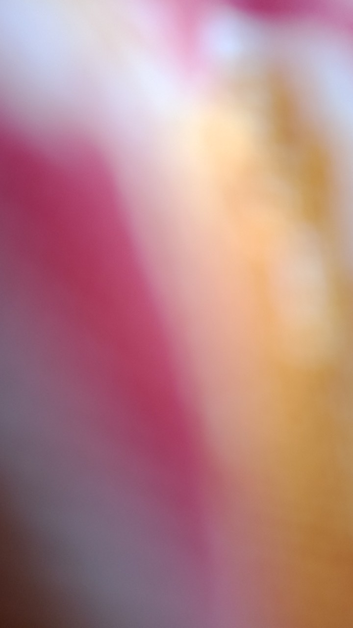 Sikat Kayu Cuci Eterna 414 Sikat Cuci Baju Sikat Lantai Keramik Wc Dinding