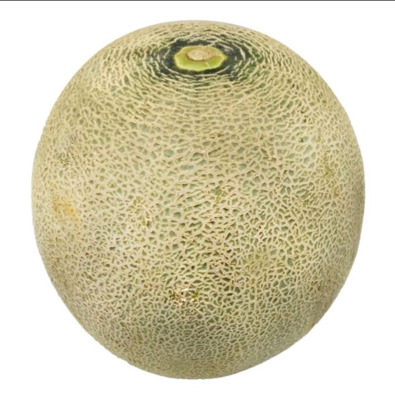 

MELON 1KG