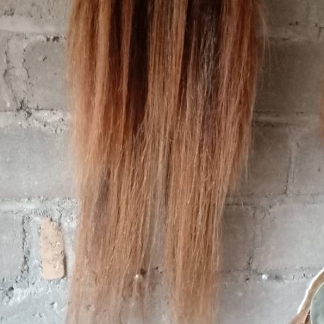 Rambut barong bahan ekor kuda