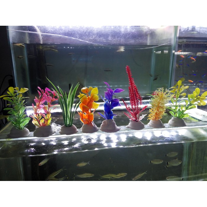 910+ Dekorasi Aquarium Tanaman Plastik HD