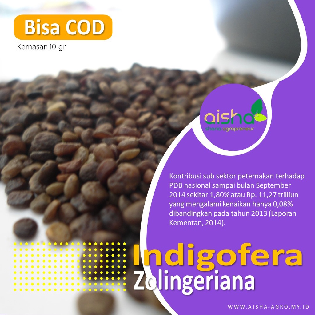 Biji Siap Ppaket pakan kambing tanam murah rumput Indigofera Bibit Benih super indigovera