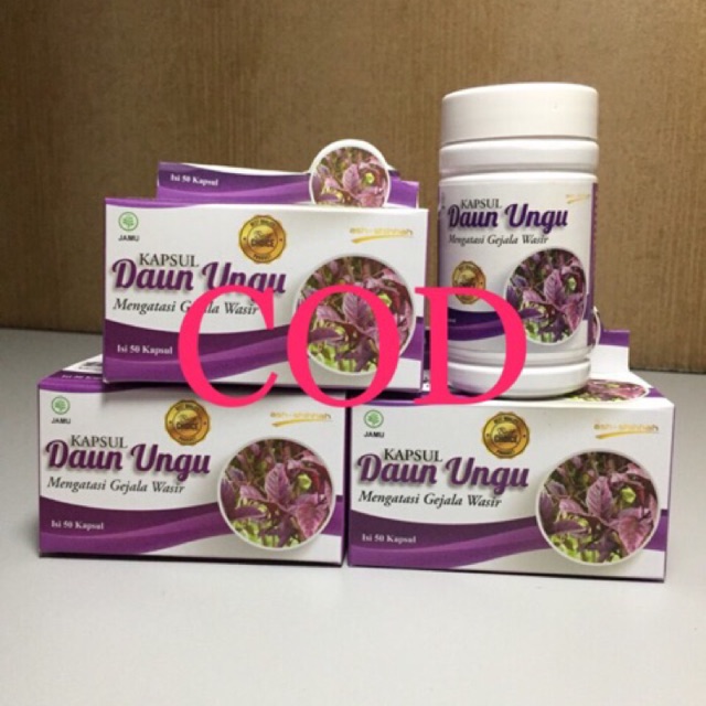 Daun ungu|wasir|ambeyen | Shopee Indonesia