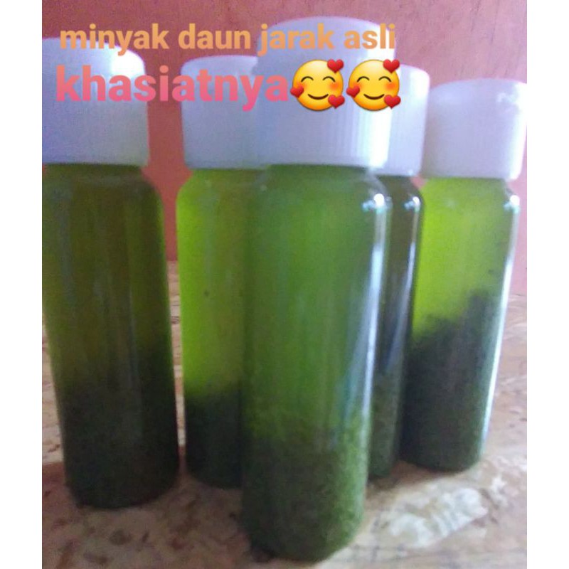 minyak daun jarak 0riginal