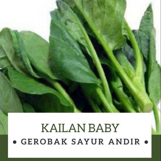 

Kailan Baby /250gr