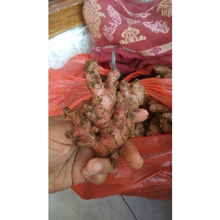 

JAHE MERAH 1KG