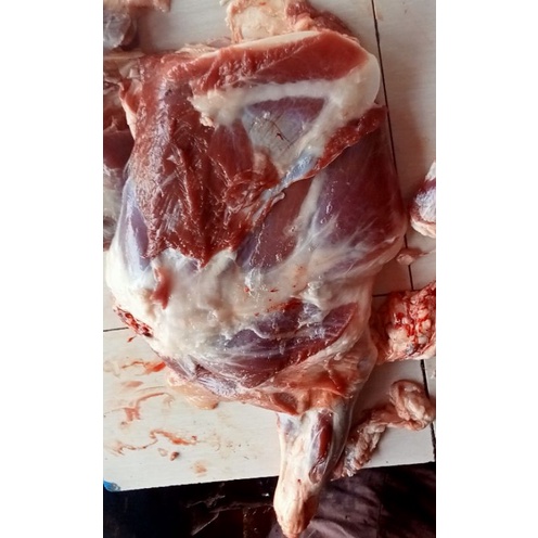 

Daging Paha kambing