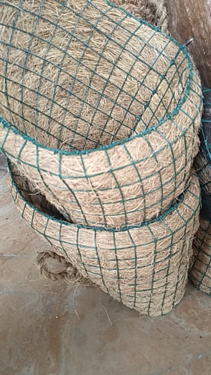 Pot Tempel / Pot Gantung / Pot Sabut Kelapa / Tanaman Anggrek / Dendrobium / Media Tanaman Anggrek