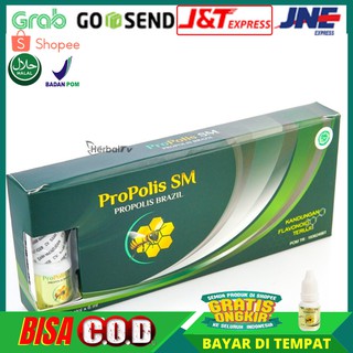 Propolis Sm Obat Tetes Herbal 100 Propolis Brazil Asli
