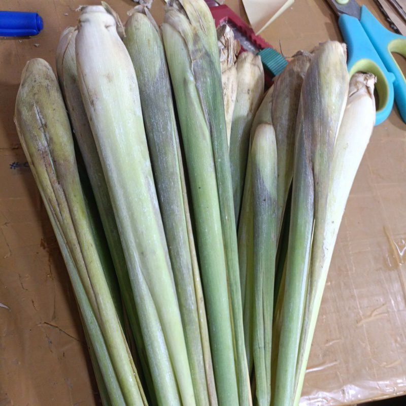 

Serai Segar 500gr
