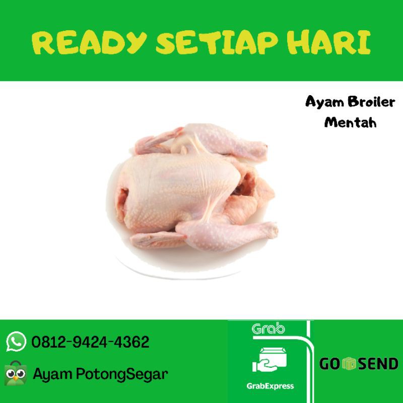

Ayam Potong Segar