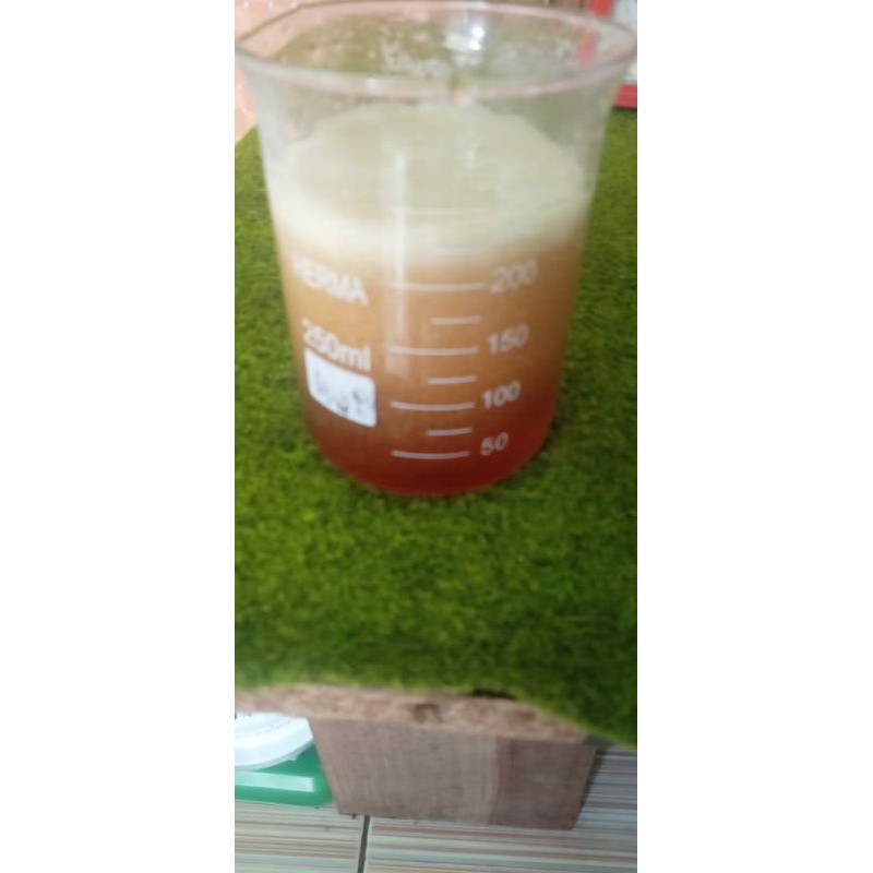 

madu hutan jambi 300 ml