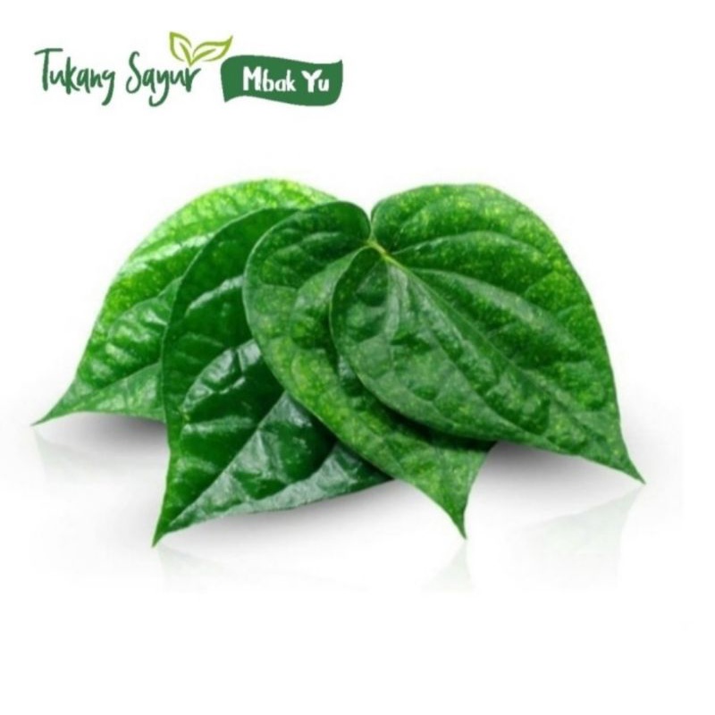 

Daun sirih segar per ikat