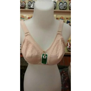 Paling Laris BH PLUM / BRA PLUM DEWASA