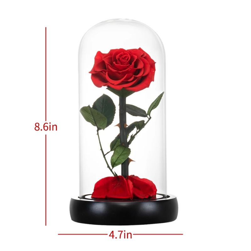 bunga preserved rose beauty and the beast with led