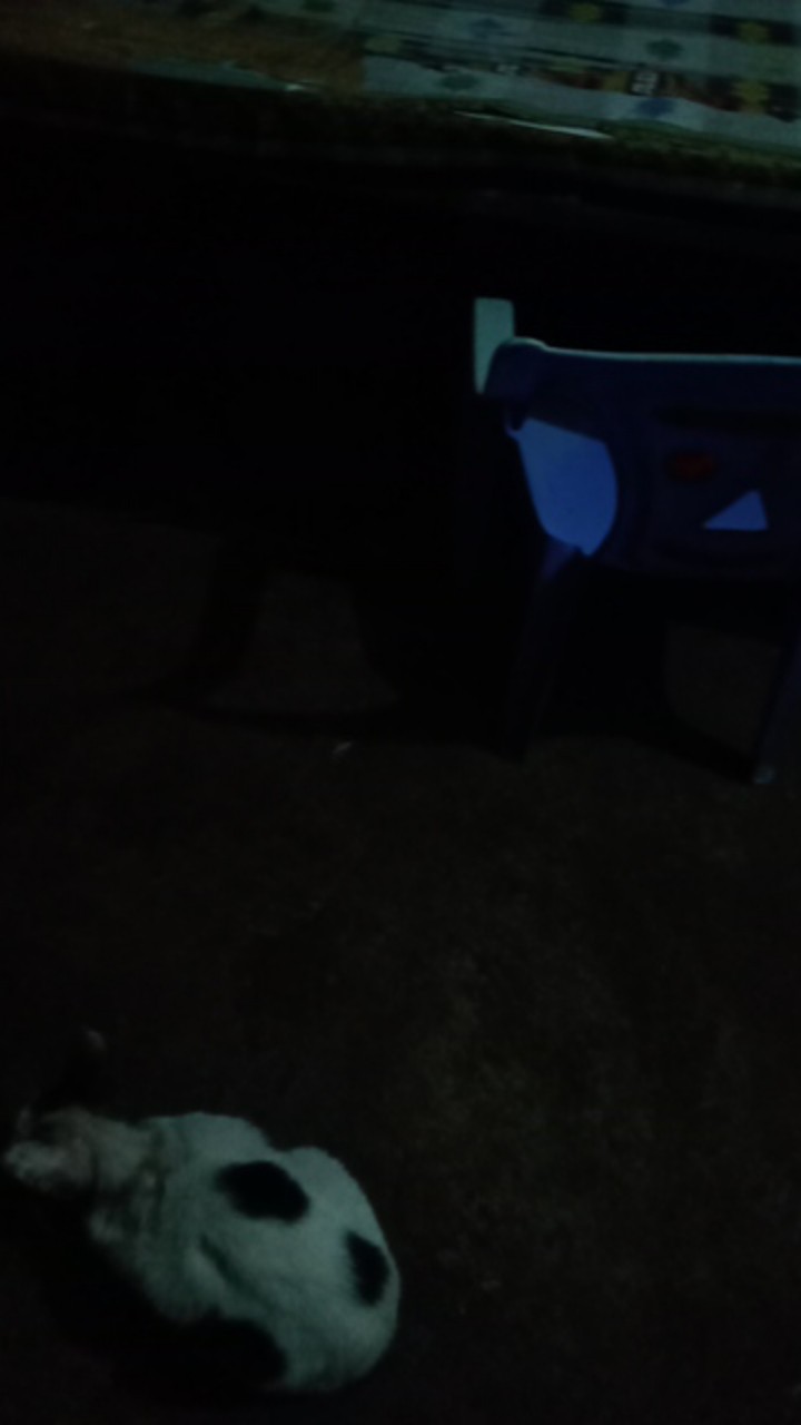 Mahkota Pendek Kemeja Batik Pria Full Furing Bahan Katun Halus Primisima