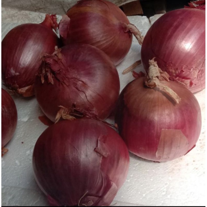 

Bawang Merah India1/2 kg