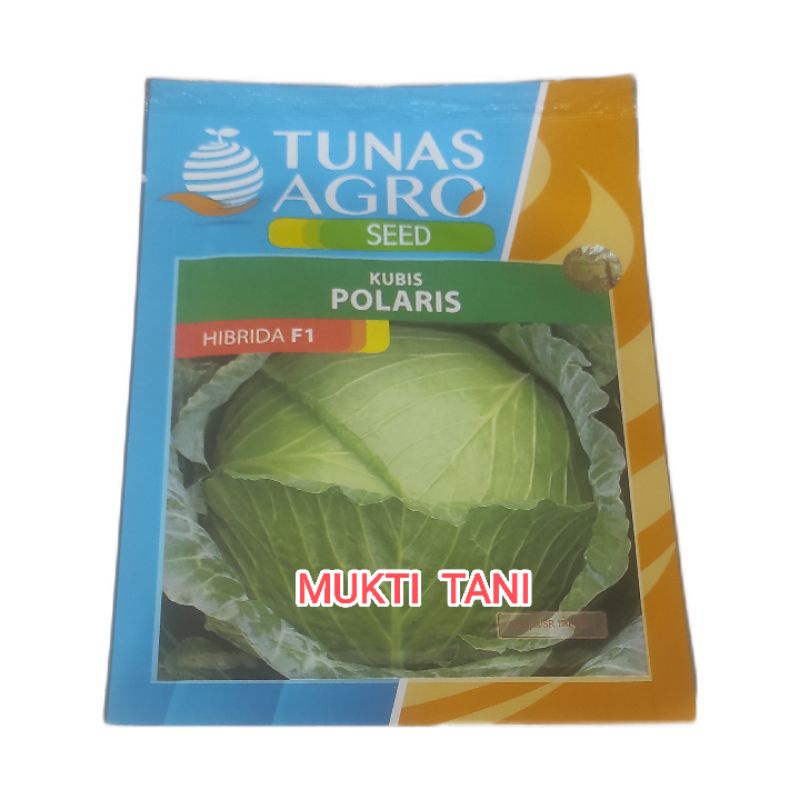 Benih kubis Hibrida F1 Polaris kemasan 10 gr | bibit kubis kol hibrida tunas agro