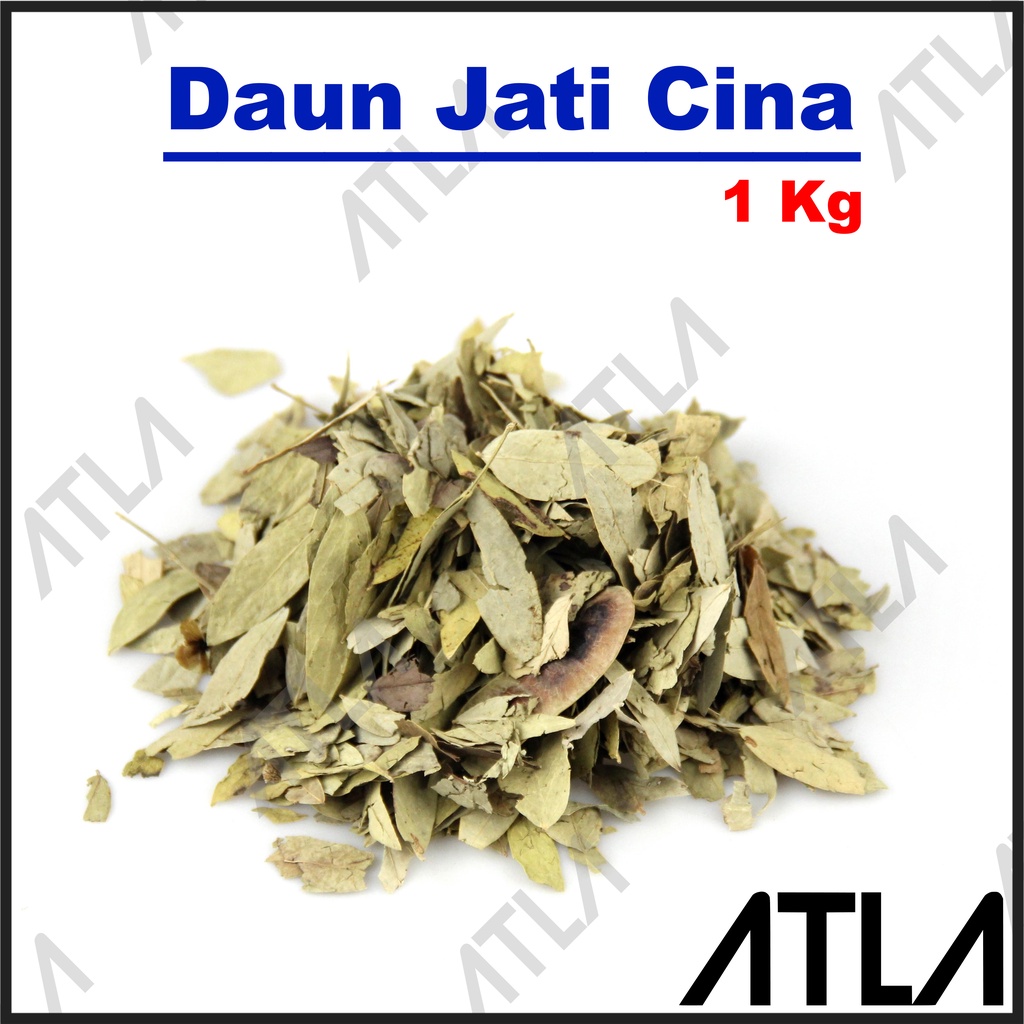 

Teh Daun Jati Cina 1 kg Alami Herbal Organic Tea Diet Pelangsing 1kg