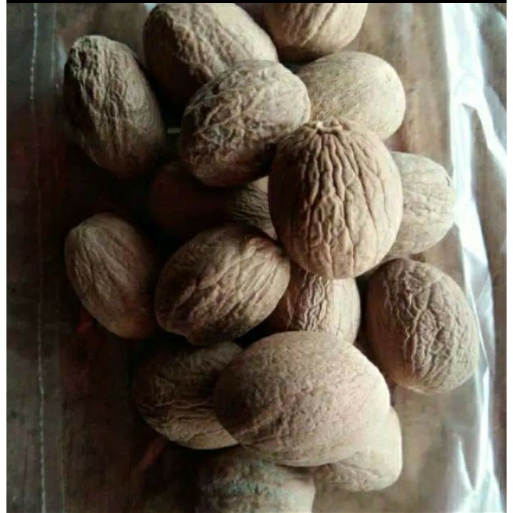

Biji Pala Kering