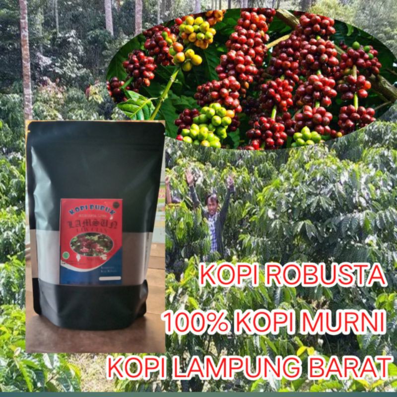 

KOPI ROBUSTA LAMPUNG 500gr Premium kopi murni