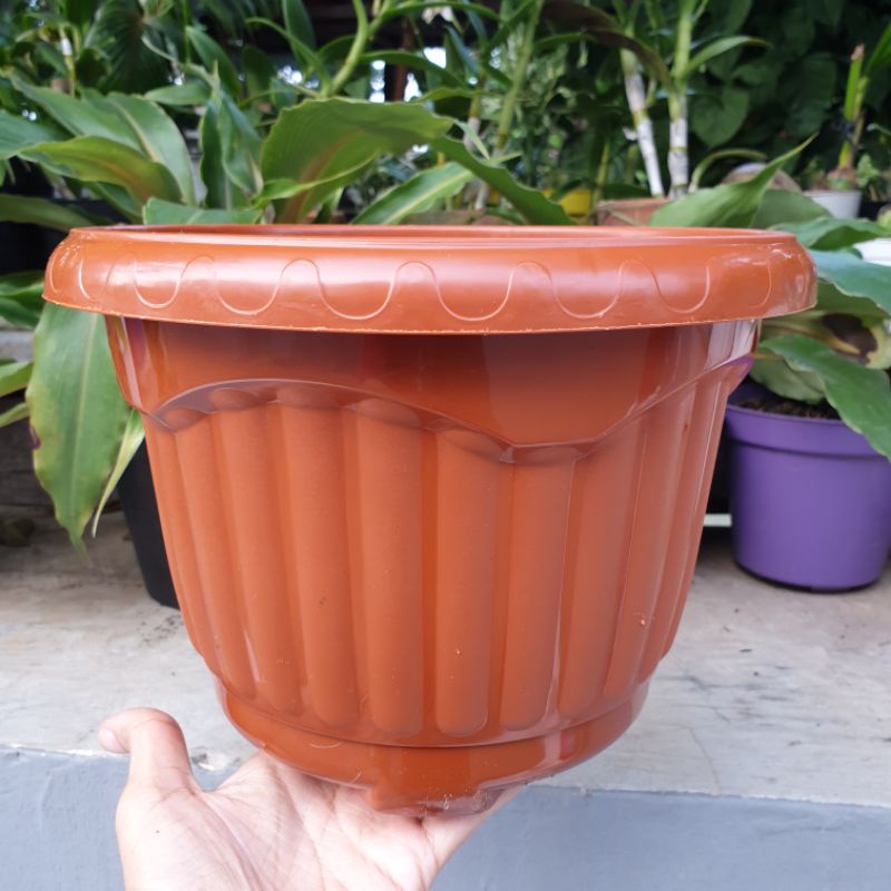 SHALLOM MIO 25 pot bunga plastik tebal murah motif belimbing