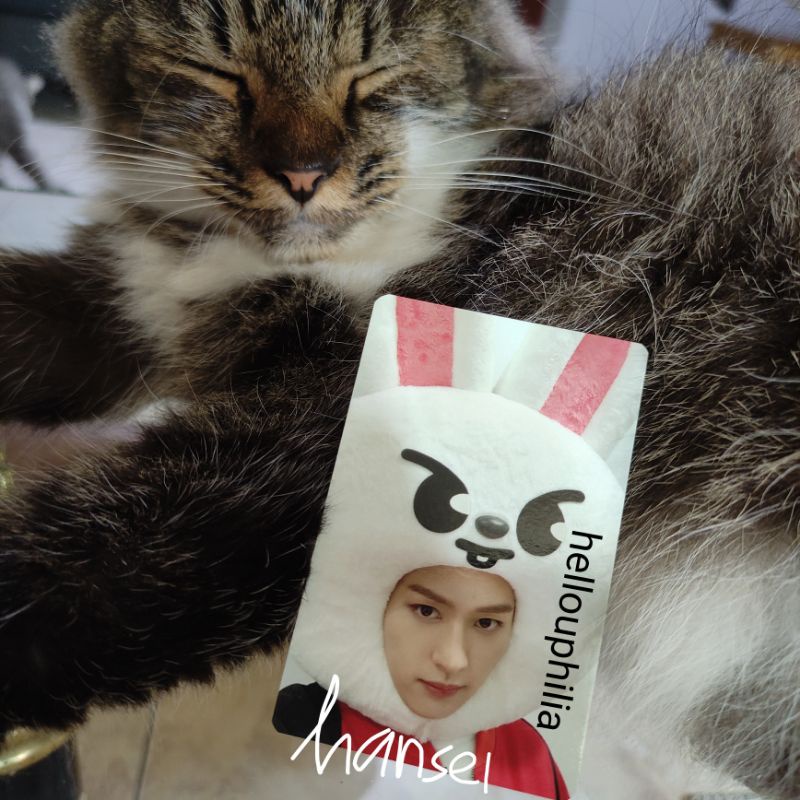 [BACA DESKRIPSI] Photocard soundwave swkr leebit lino lee know ino Stray Kids