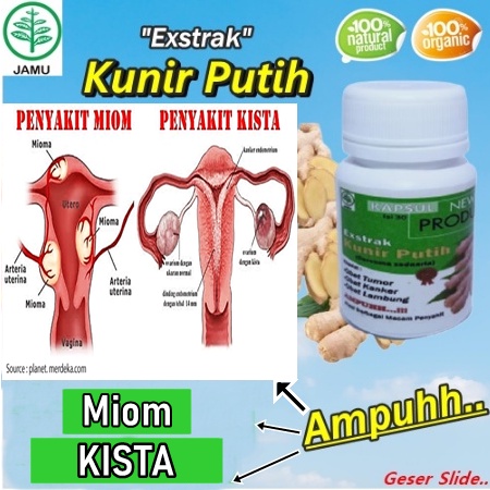 OBAT HERBAL KUNYIT PUTIH KISTA MIOM MAAG ASAM LAMBUNG KOLESTEROL KANKER TUMOR DIABETES KEPUTIHAN ANT