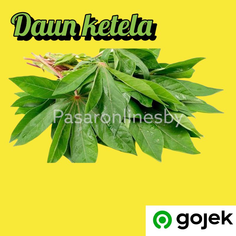 

PASAR GUBENG - Daun Ketela/Daun Ubi Jalar/Daun Telo - Per Ikat