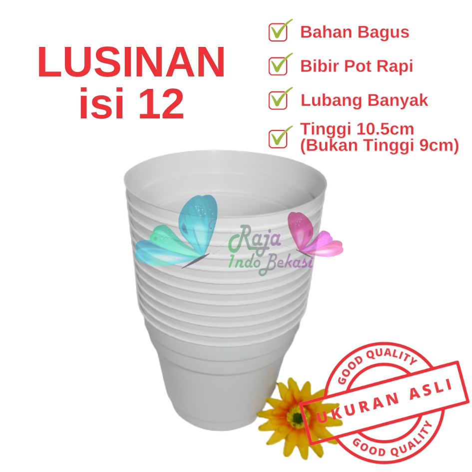 Rajaindobekasi Lusinan Pot 12 Putih Polos - Pot 12 Cm Putih Kecil Mini Minimalis Plastik Kaktus Sukulen Mini Murah Pot Bibit Pembibitan