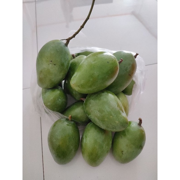 

Mangga muda asem 5 kg