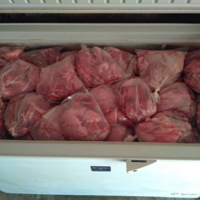 

Daging babi hutan