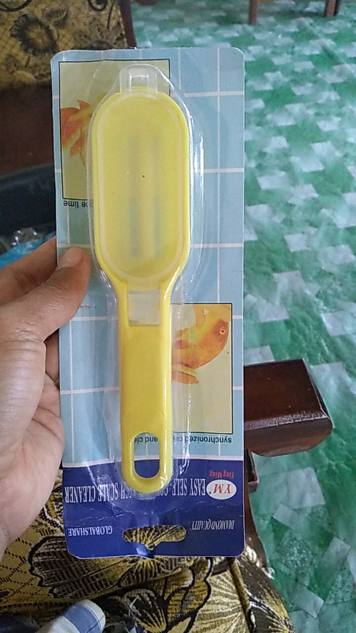 Pembersih Sisik Ikan