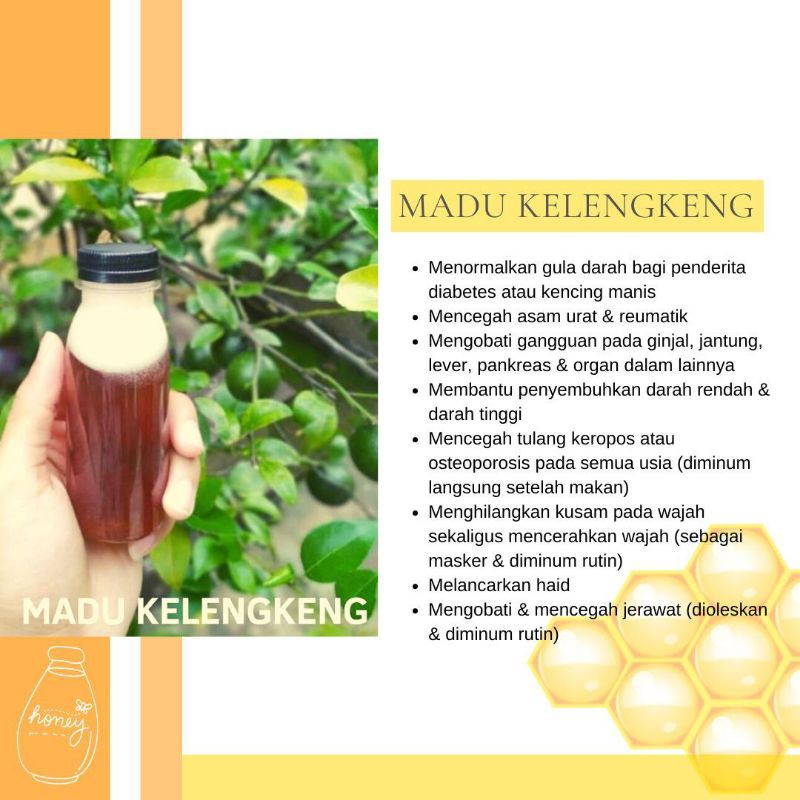 

madu kelengkeng