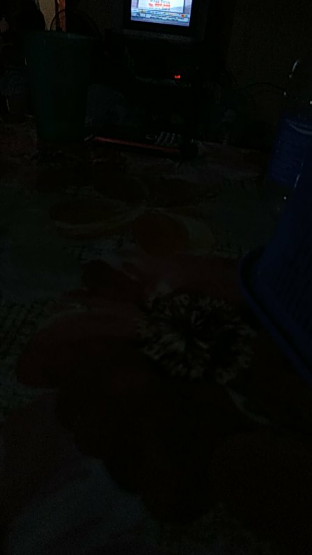 Kameswara Pendek Kemeja Batik Pria Full Furing Bahan Katun Primisima