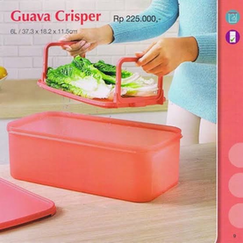 TUPPERWARE GUAVA CRISPER