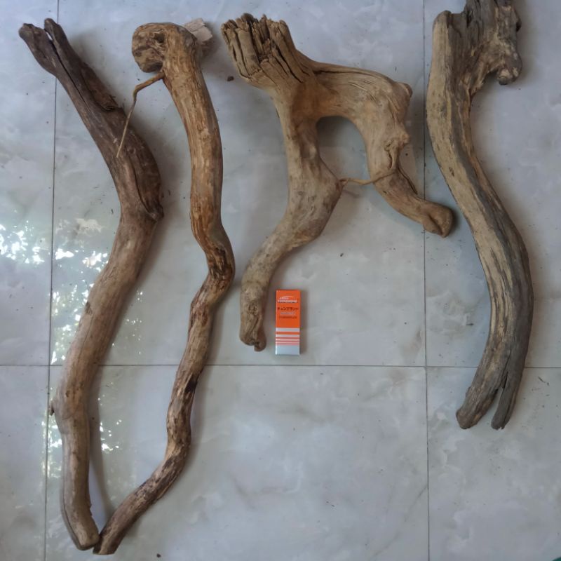 Akar kayu santigi laut aquascape - size XL