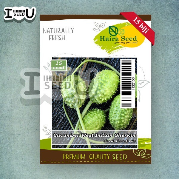 Bibit-Biji Cucamelon West Indian Gherkin (Haira Seed)