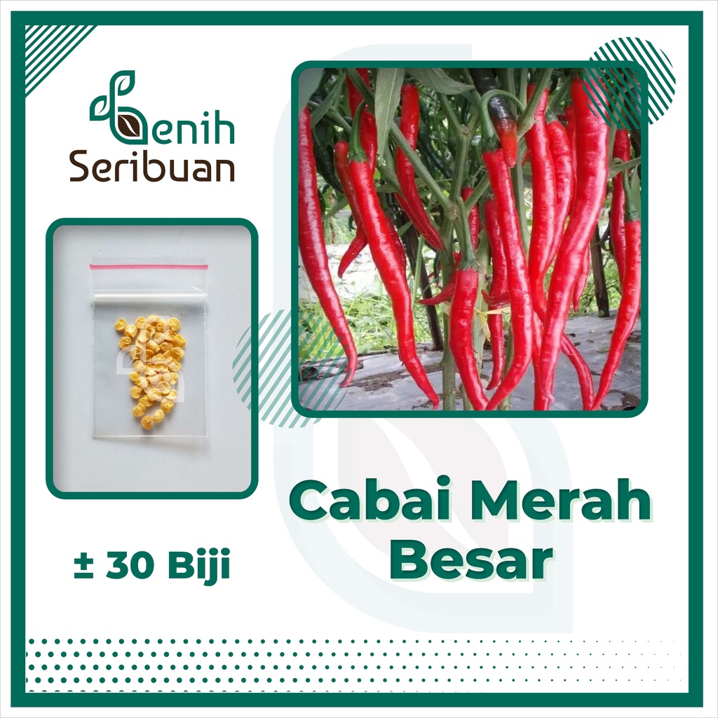 30 Benih Cabe Merah Besar Sayuran Tahan Virus Cabai Unggul Berkualitas - Bibit Tanaman Sayur Seribua