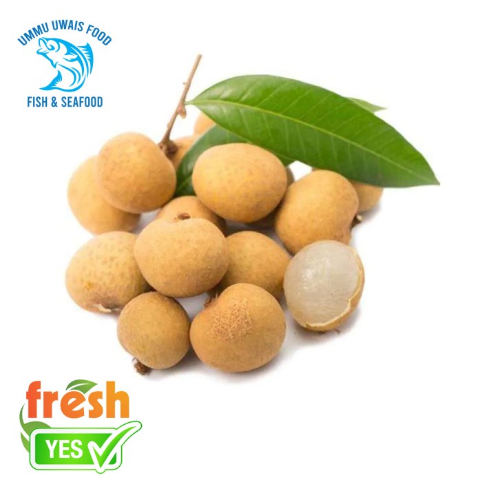 

Buah Kelengkeng Segar Berkualitas - 500 Gram