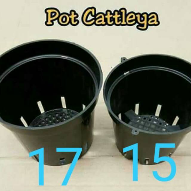Pot Anggrek plastik UK 15 untuk catleya, dendrobium