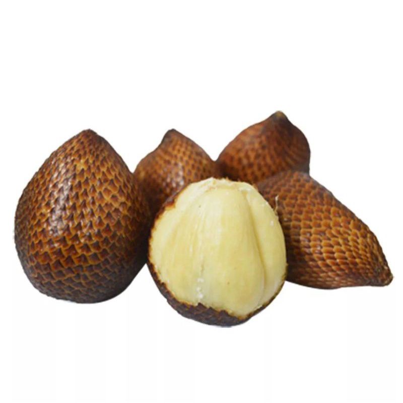 

BUAH SALAK LOKAL /SALAK GUNUNG SEGAR