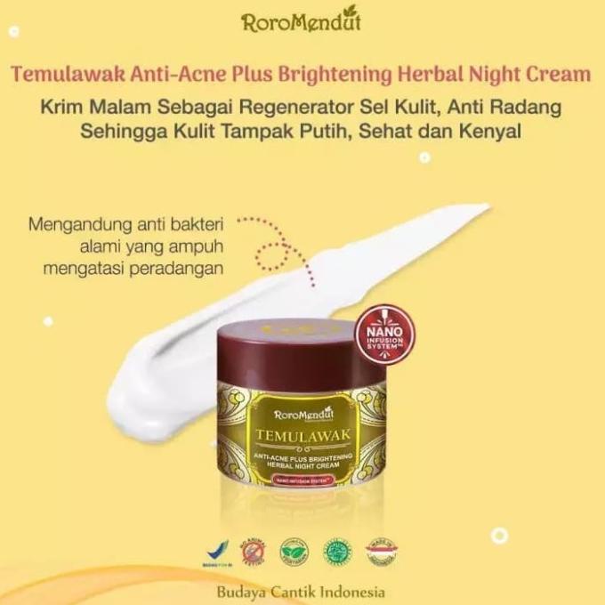 RORO MENDUT STARTER TEMULAWAK Anti Acne Brightening Paket Skincare