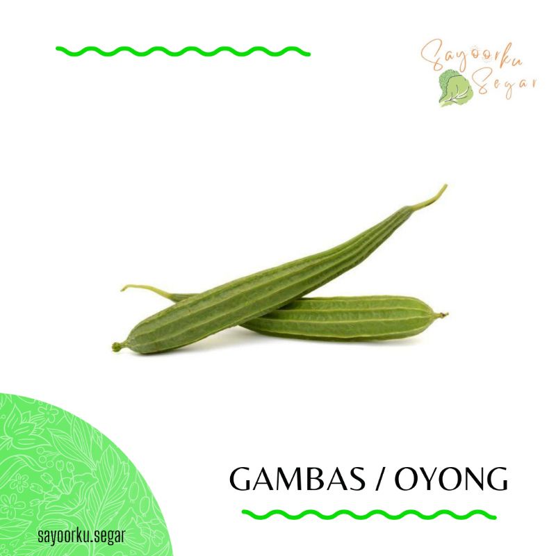 

KIRIM BESOK Gambas / Oyong
