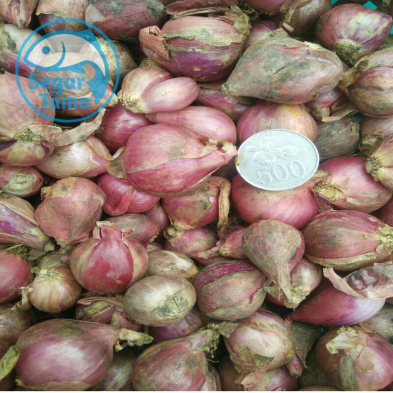 

BAWANG MERAH UKURAN SEDANG