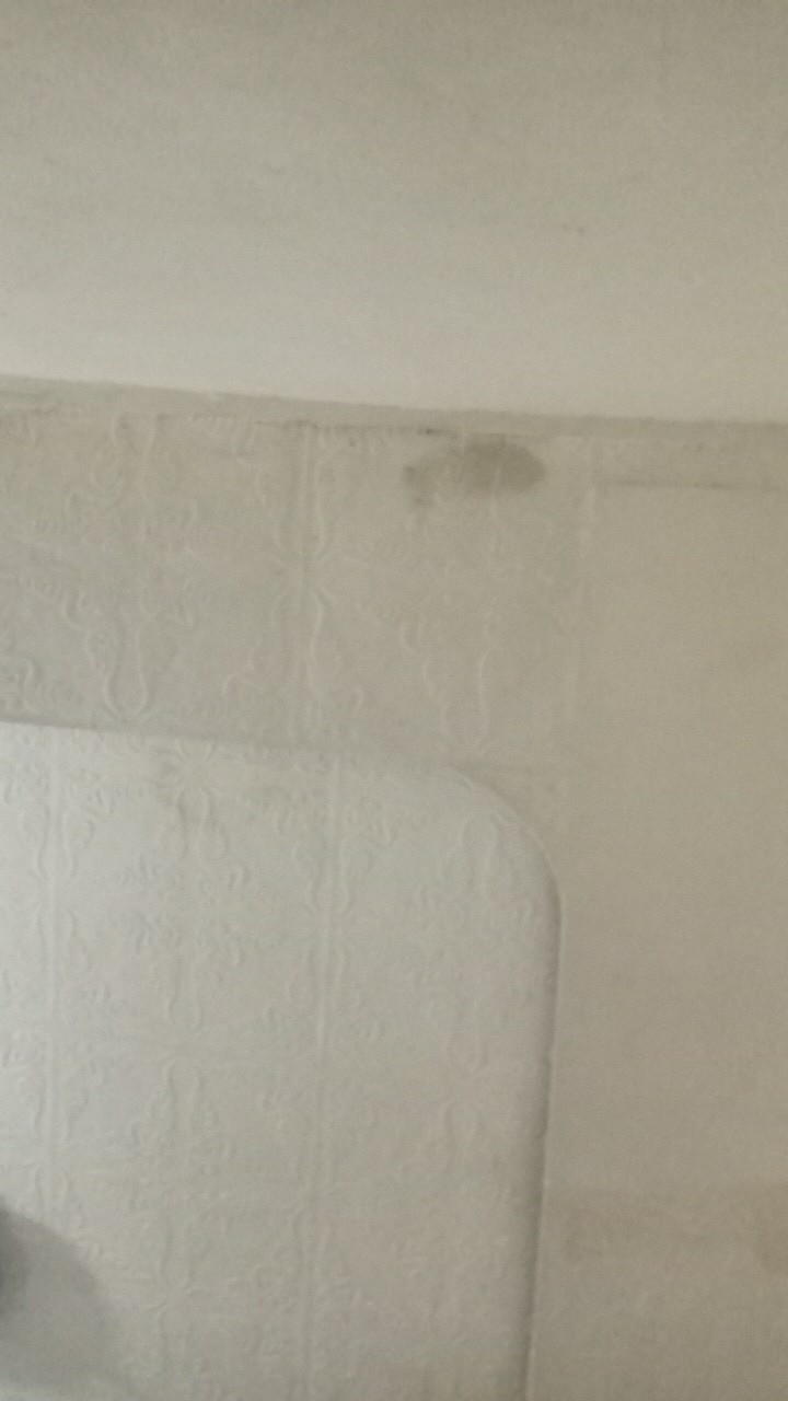 Gotato Kentang Goreng 250 Gram