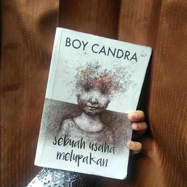 Novel  Boy Candra asli