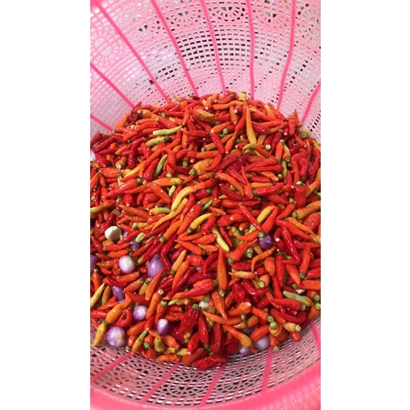 

sambal udang